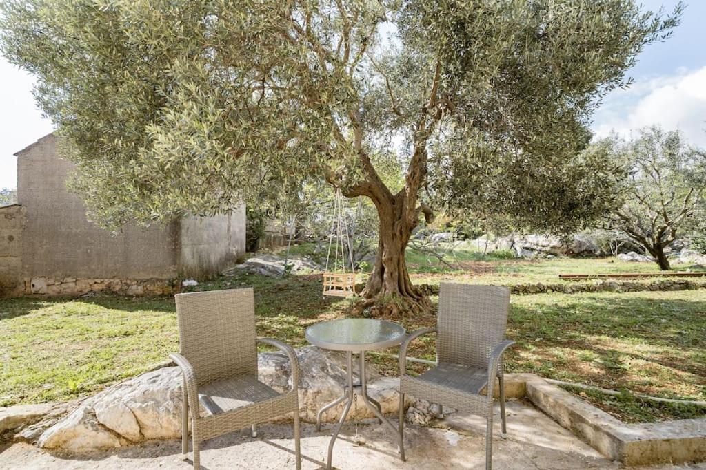 Airport Garden Room Čilipi Εξωτερικό φωτογραφία